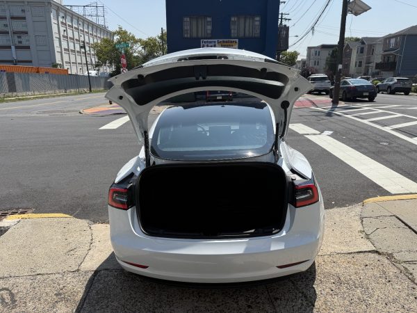 TESLA - Imagen 18